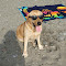 https://yt3.ggpht.com/-TgsT77R2GYw/AAAAAAAAAAI/AAAAAAAAAAA/8jspGk-TB90/s60-mo-c-c0xffffffff-rj-k-no/photo.jpg