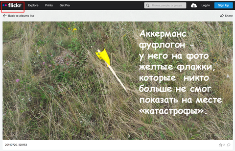 https://upforme.ru/uploads/0013/48/ca/2302/t717375.png