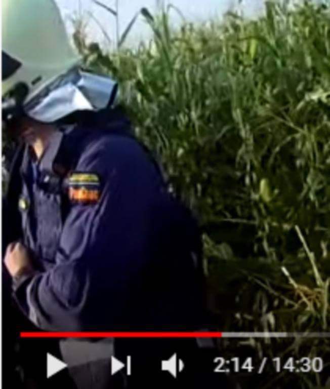 http://images.vfl.ru/ii/1576214859/f4057c1f/28892749.jpg